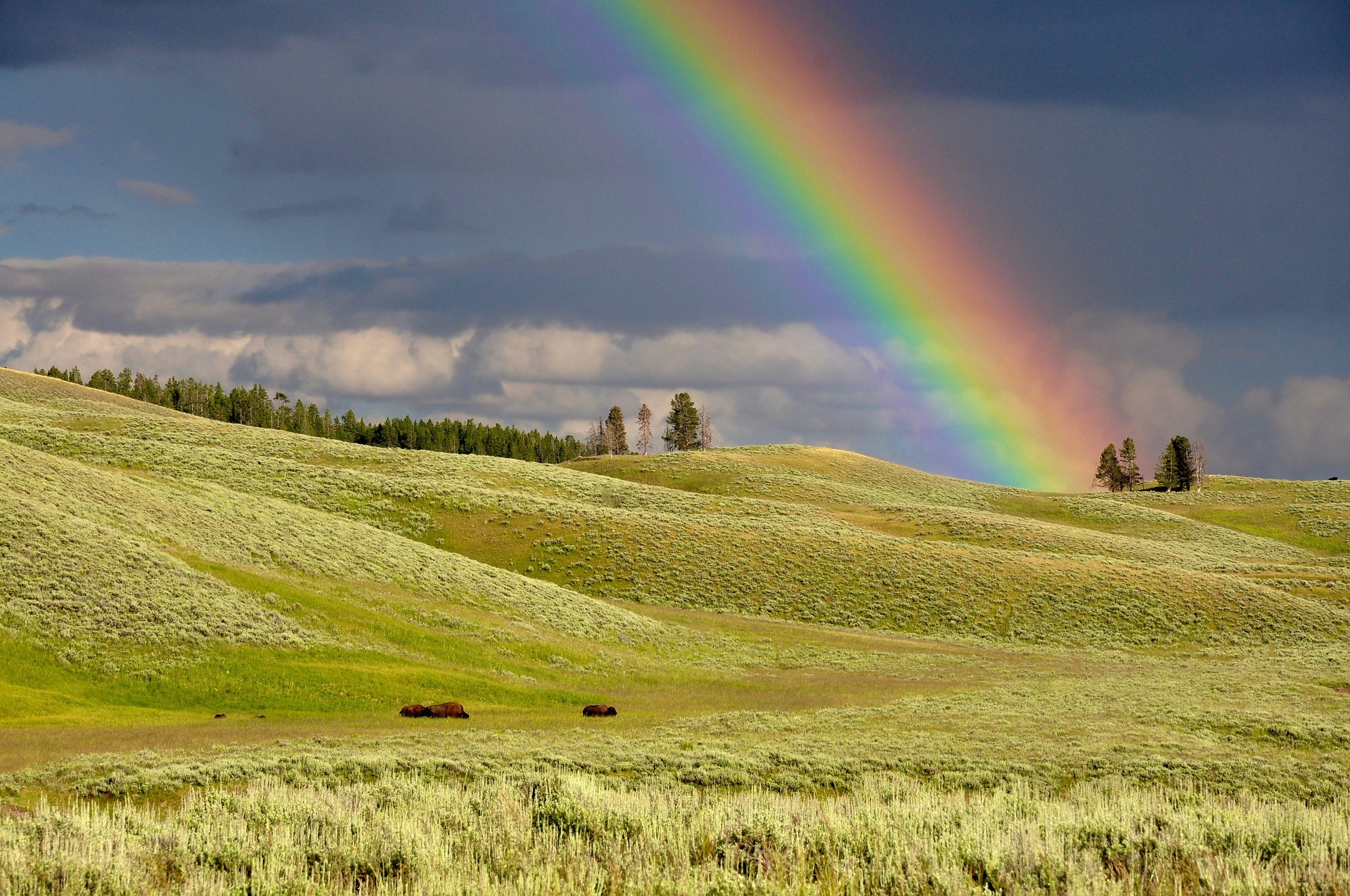 Rainbow